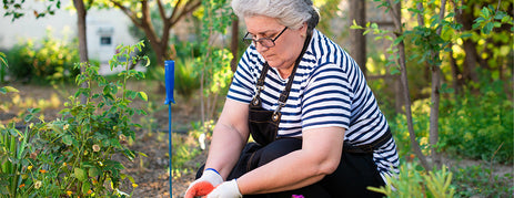 Muscle Memory - Montessori Method for Dementia