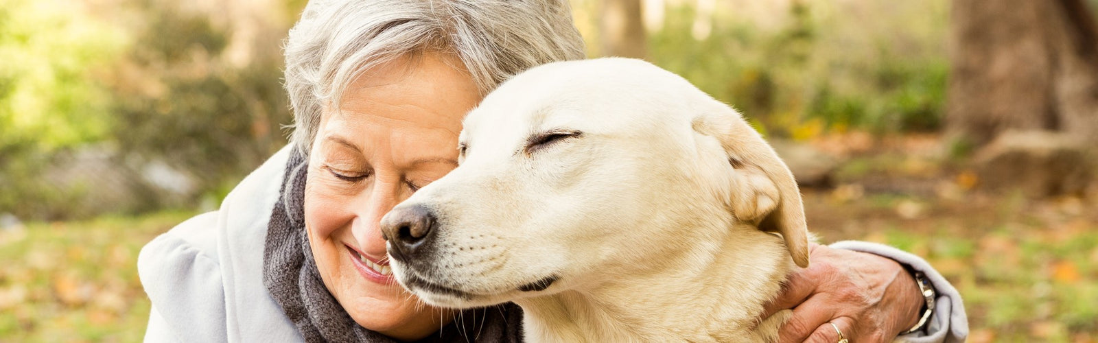 Pasar tiempo con las mascotas