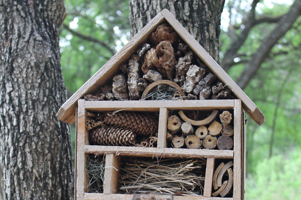 Beautiful Bug Mansions