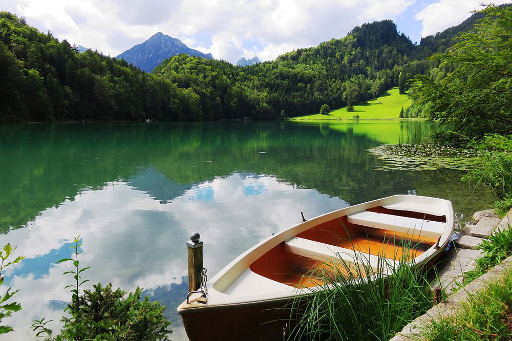 Cruising Down the River