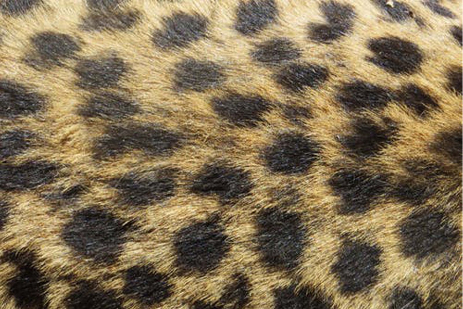 Engage with the Textured Wall