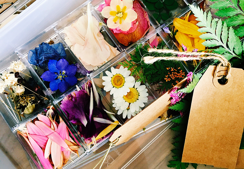 Pressed Flower Collage