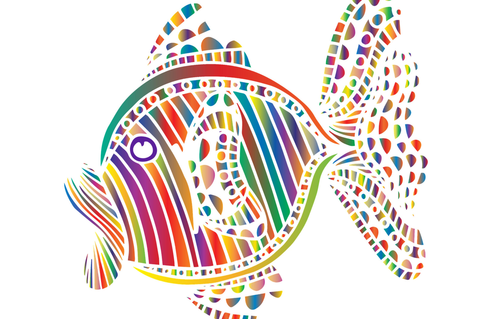 Rainbow Fish