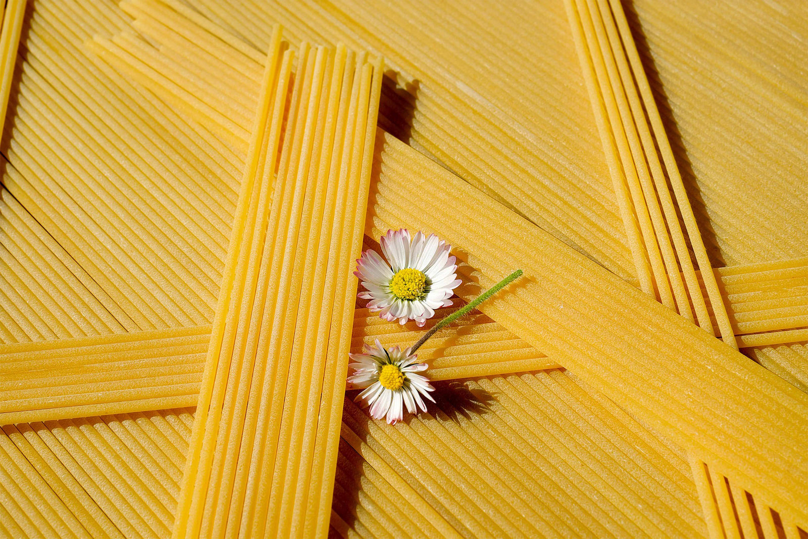 Spaghetti Day - Building Towers