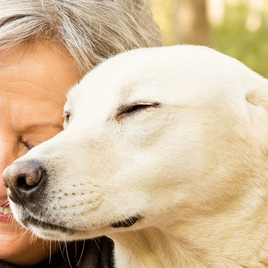 Spending time with pets