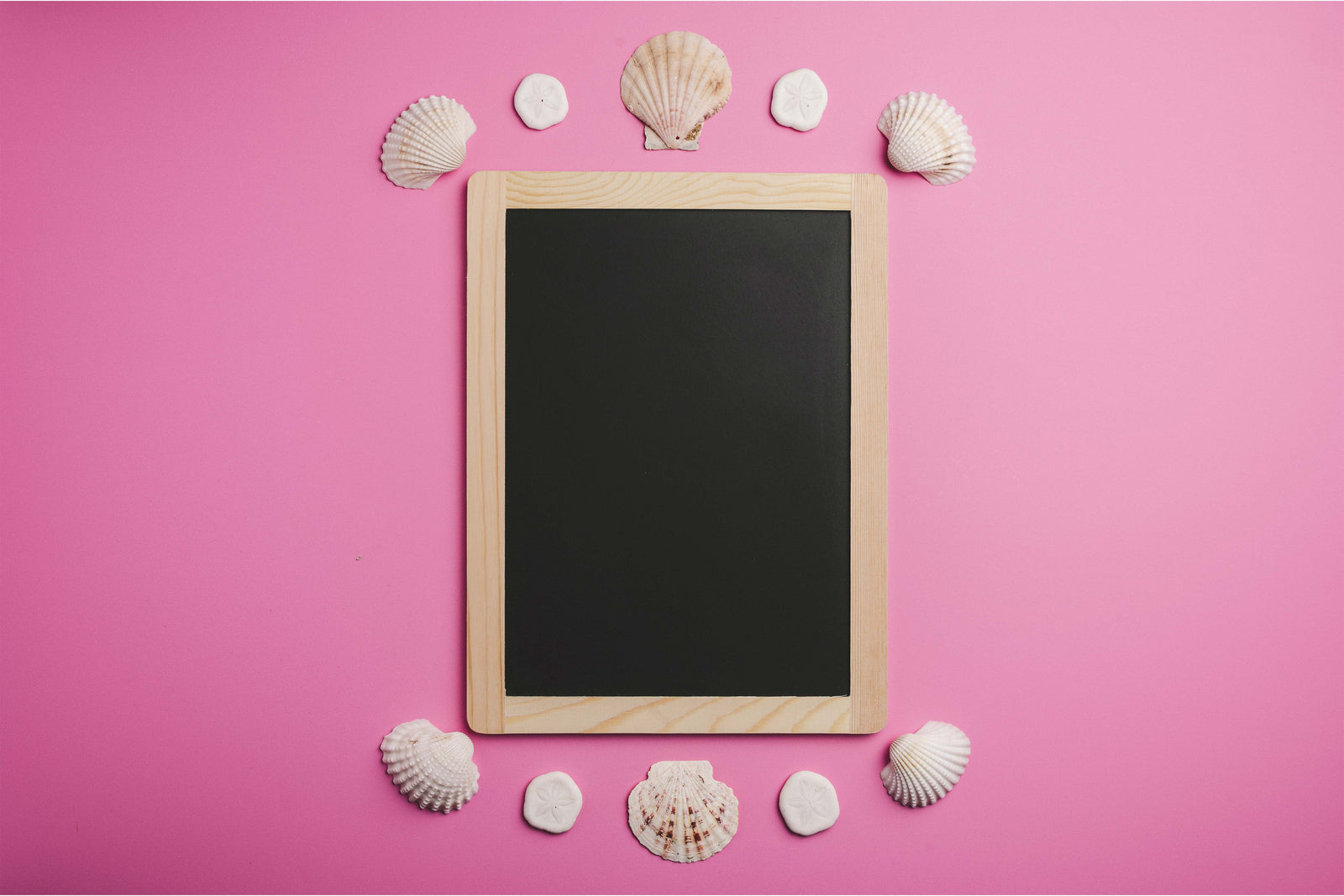 A Shell of a Frame