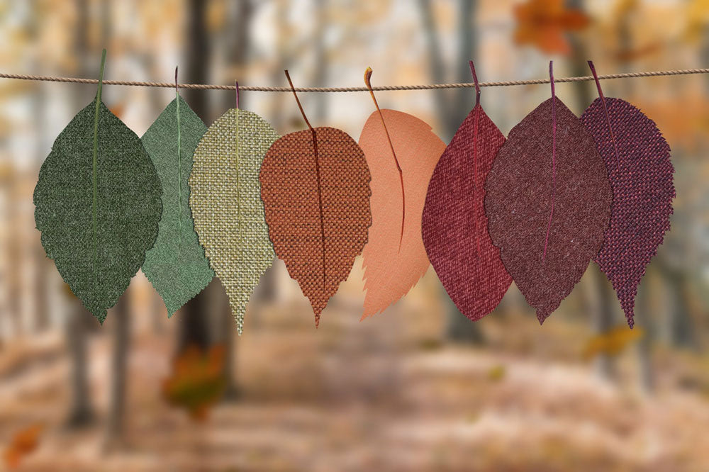 Autumn Picture Hunting