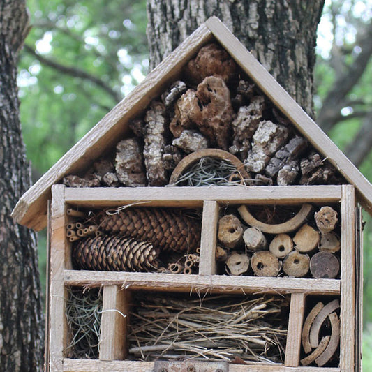 Beautiful Bug Mansions