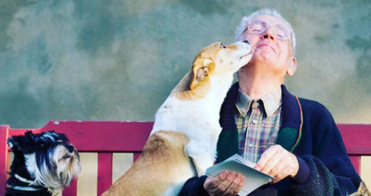 Caring for a Pet when you have Dementia