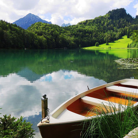 Cruising Down the River