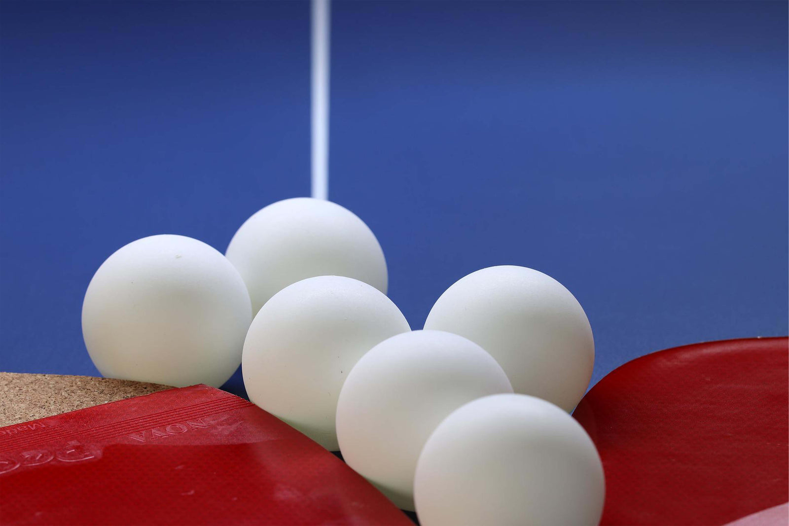 Egg Toss - movement Activity