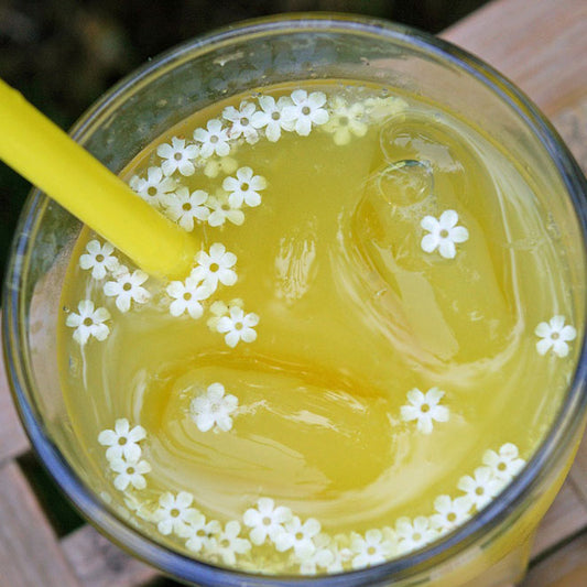 Elderflower Punch