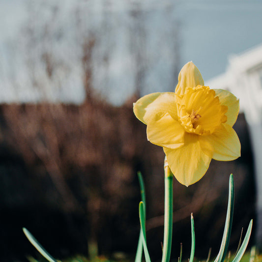 Exploring Nature in Spring