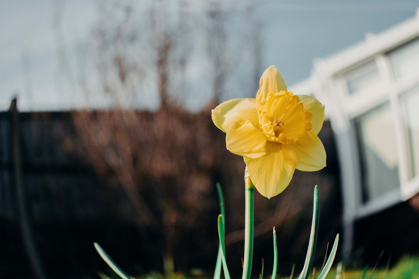 Exploring Nature in Spring