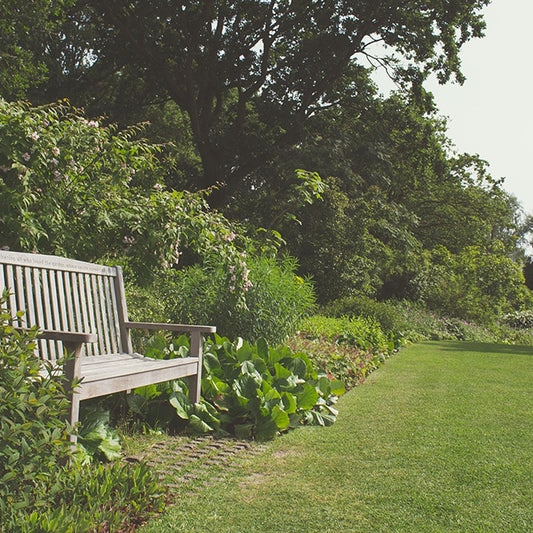 Garden Discovery