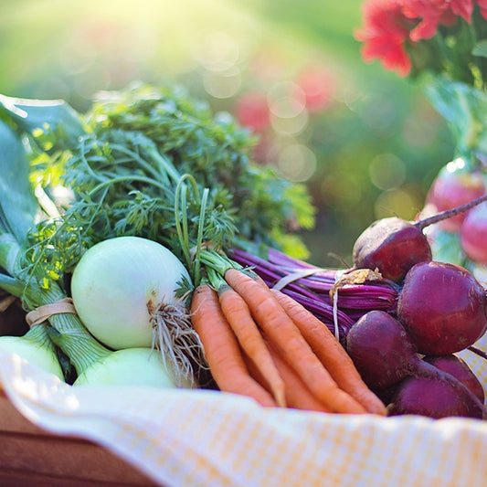 Harvest Vegetable Quiz