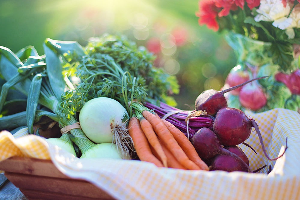Harvest Vegetable Quiz