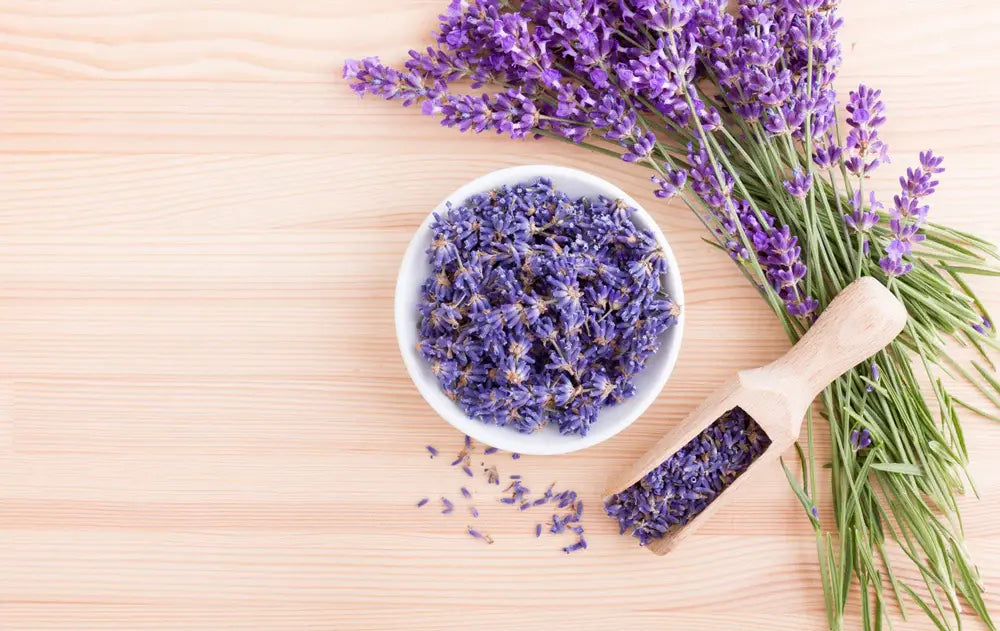 Lavender Pillows