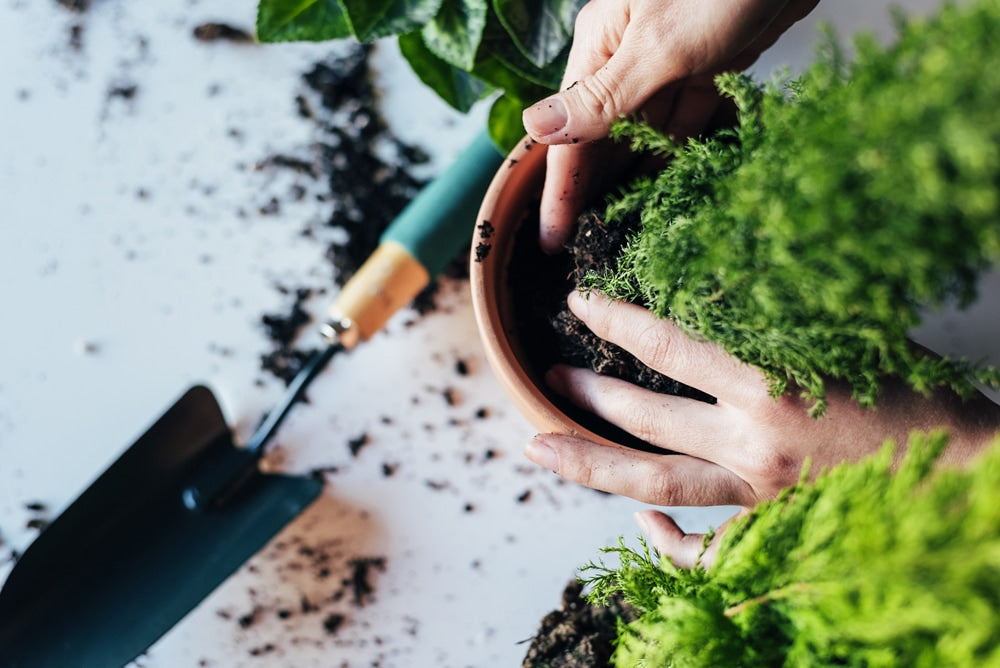 Mini Garden Pots