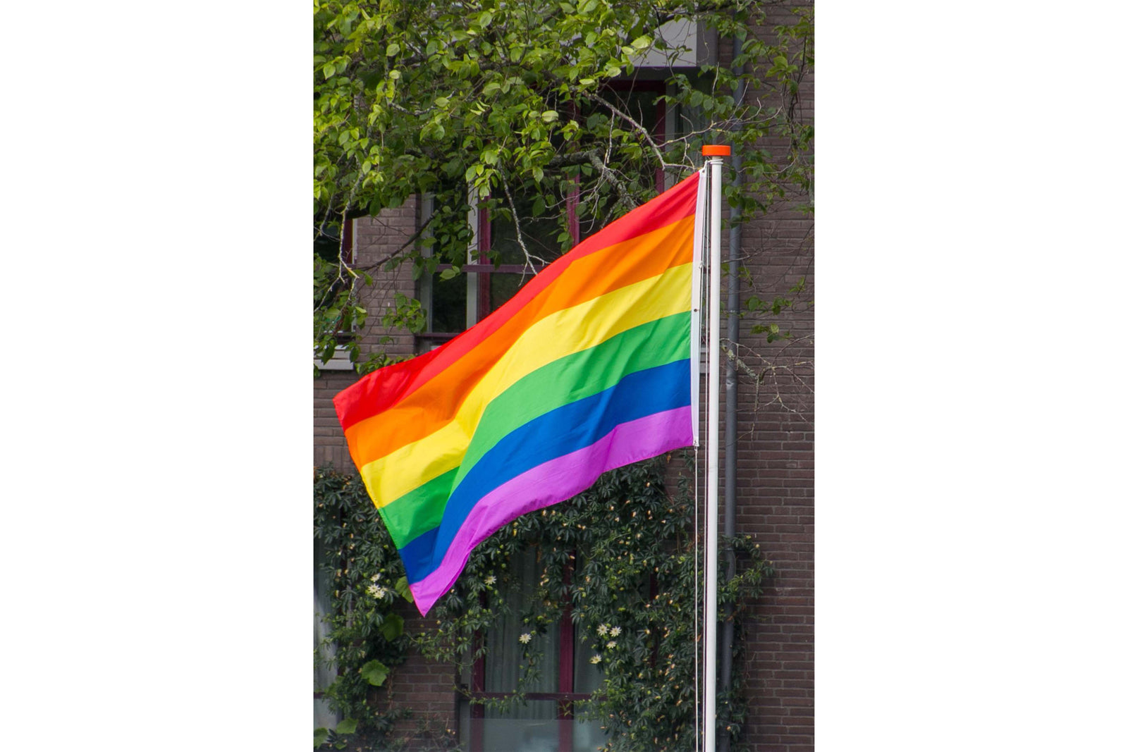 Pride Summer Party