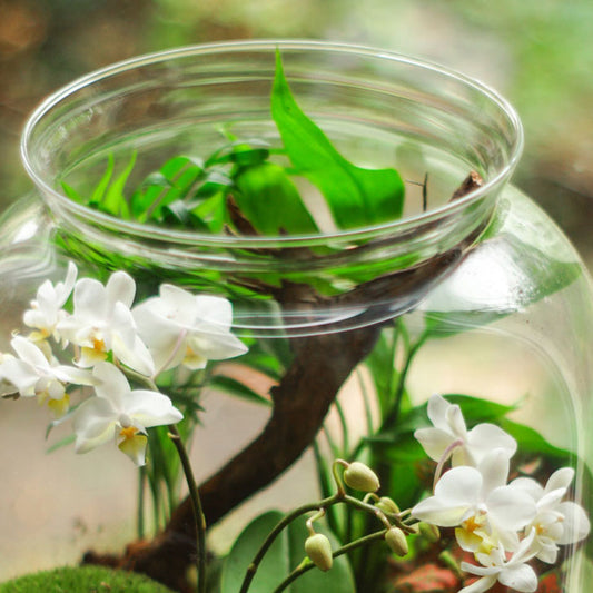 Spring in a Jar