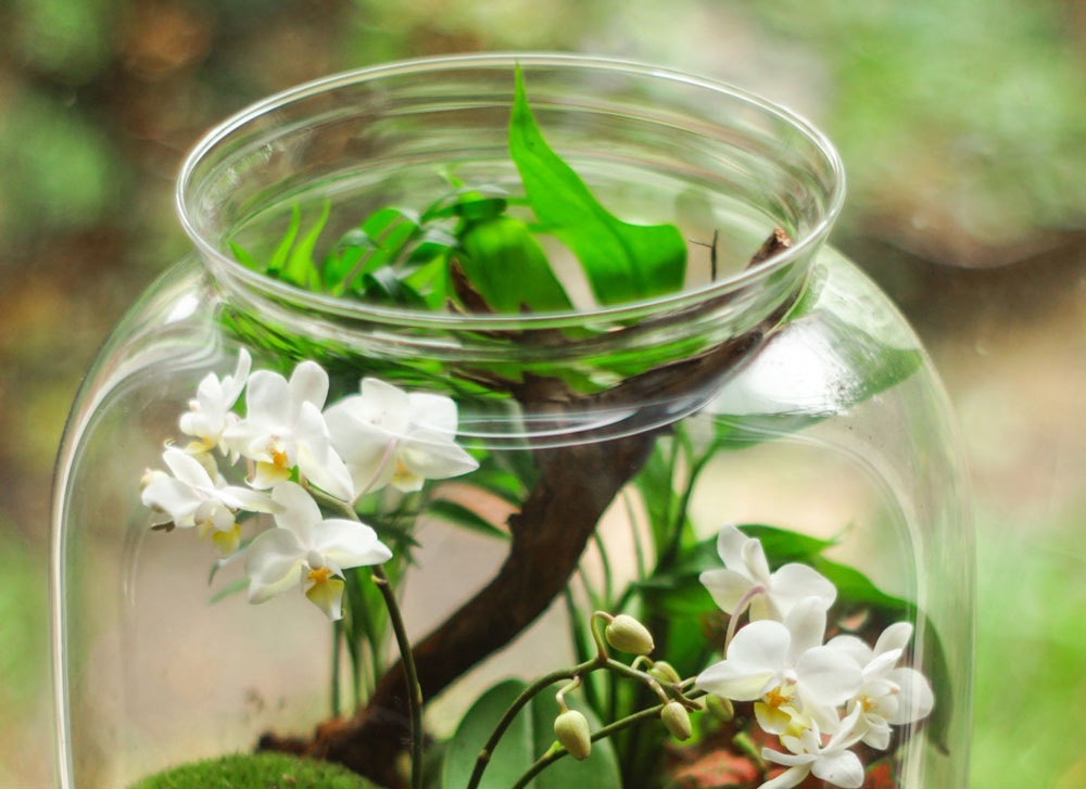 Spring in a Jar