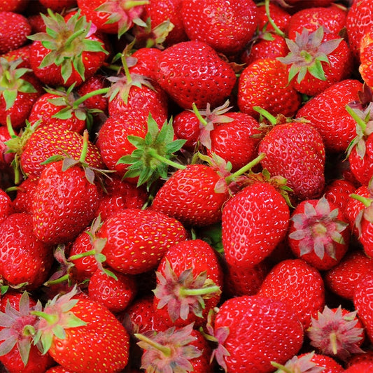 Strawberry Dips