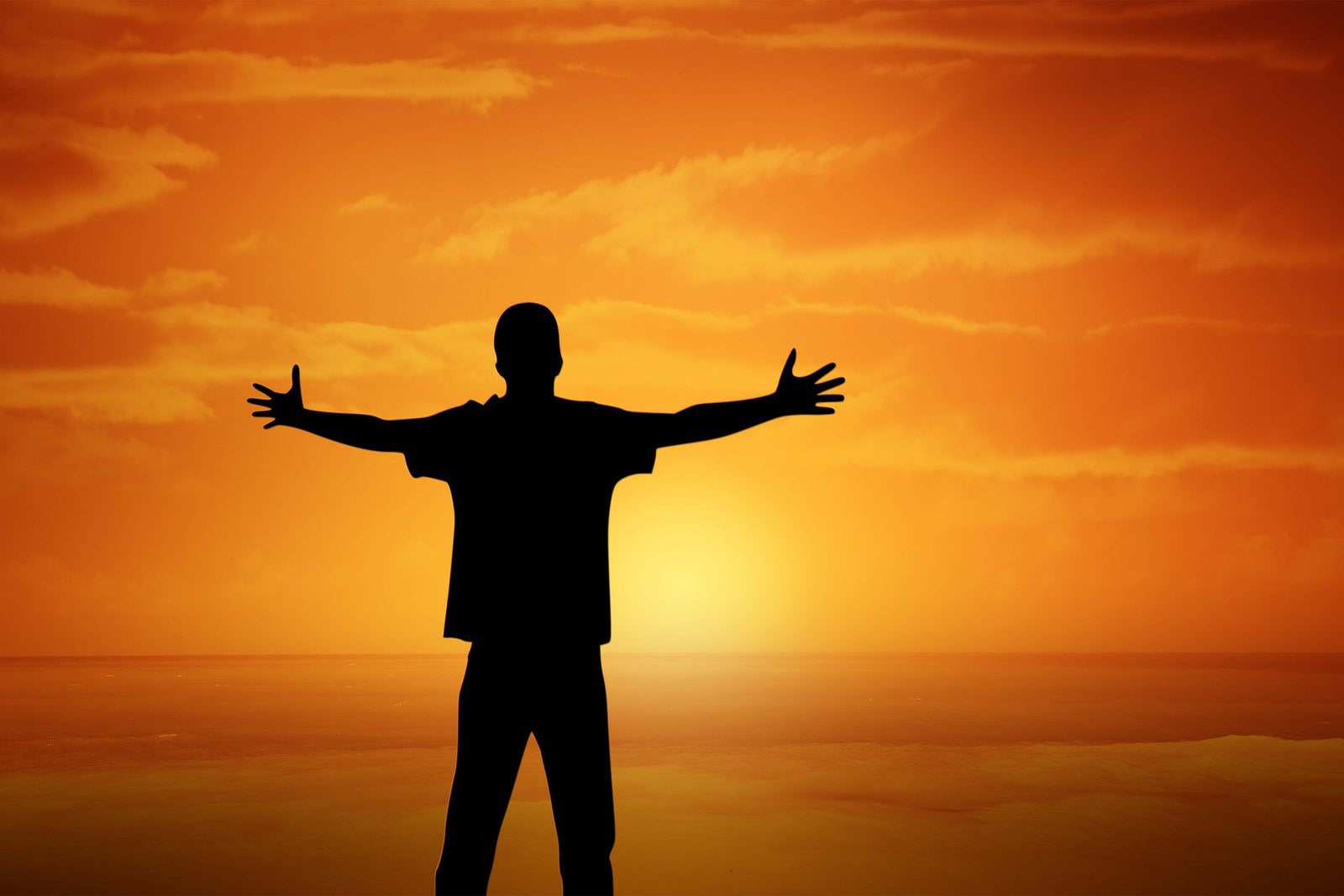 Sunset Silhouette