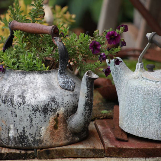 Teapot Planters