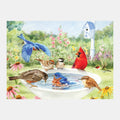 Birds gather at a birdbath in a garden, ideal for dementia activities, crafts for elderly, and care home engagement.|market_au_ca_dk_fi_fr_international_ie_it_nl_pt_es_se_gb_us