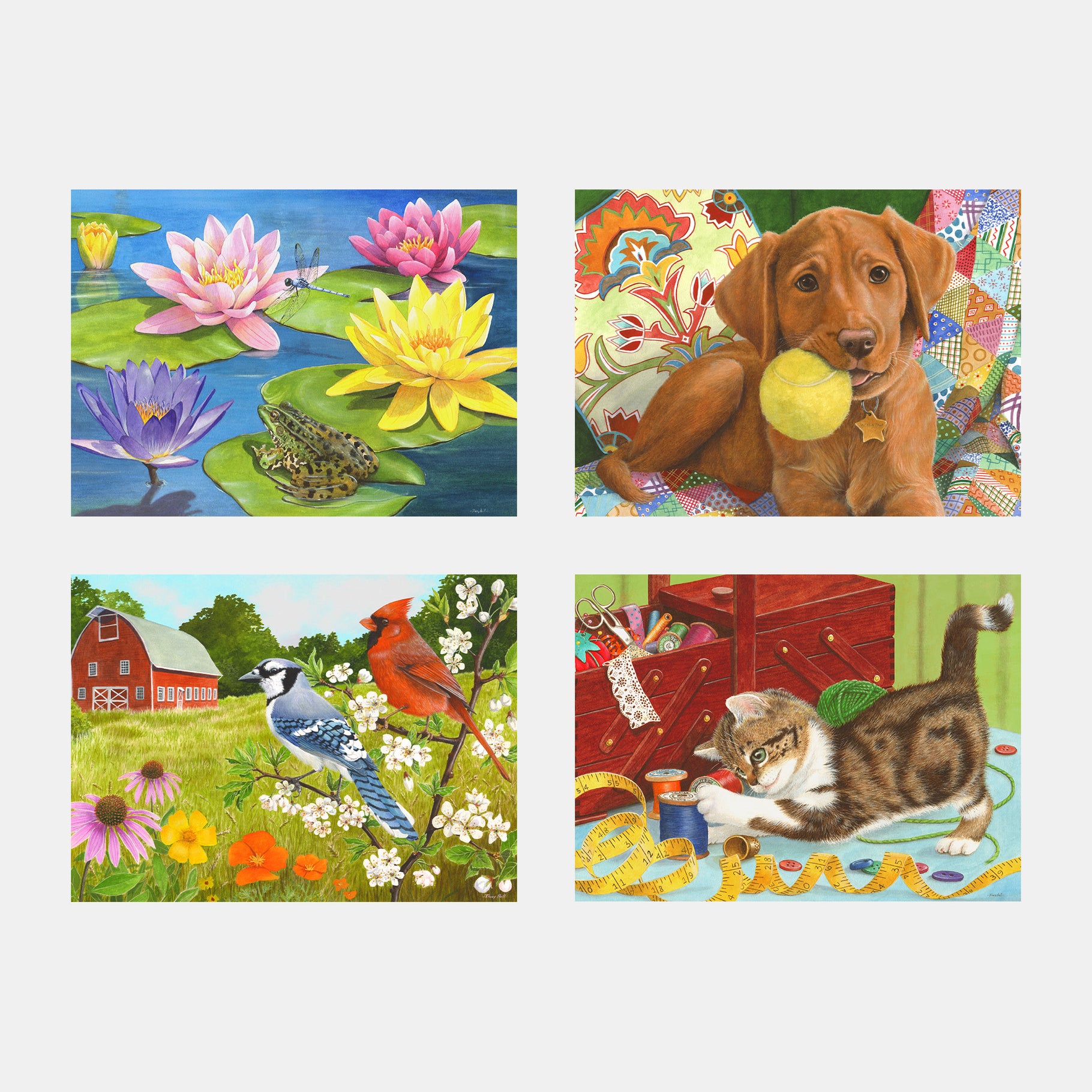 Colorful nature and animal scenes for dementia activities, perfect for care homes and gifts, enhancing engagement and joy.