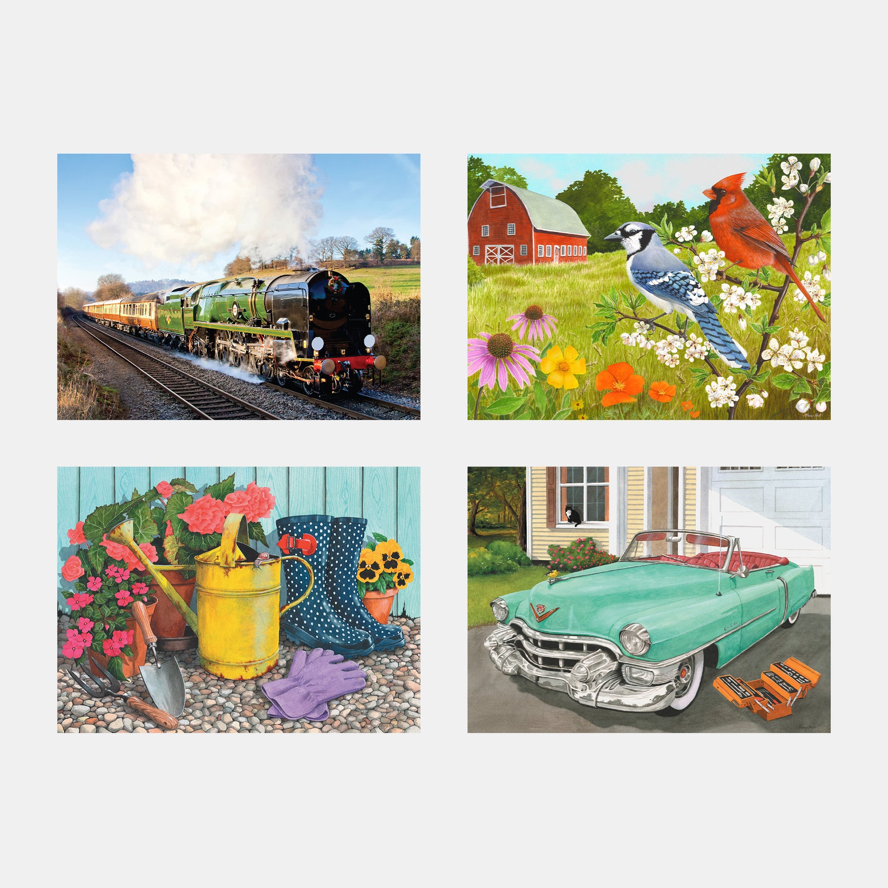 Four vibrant puzzles for people living with dementia, featuring trains, birds, gardening, and cars. Ideal activities for care homes.