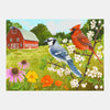Summer Birds