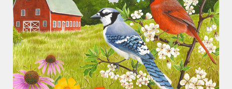 Puzzle with birds and barn, ideal for dementia activities, care home residents, and gifts for elderly with Alzheimer's.