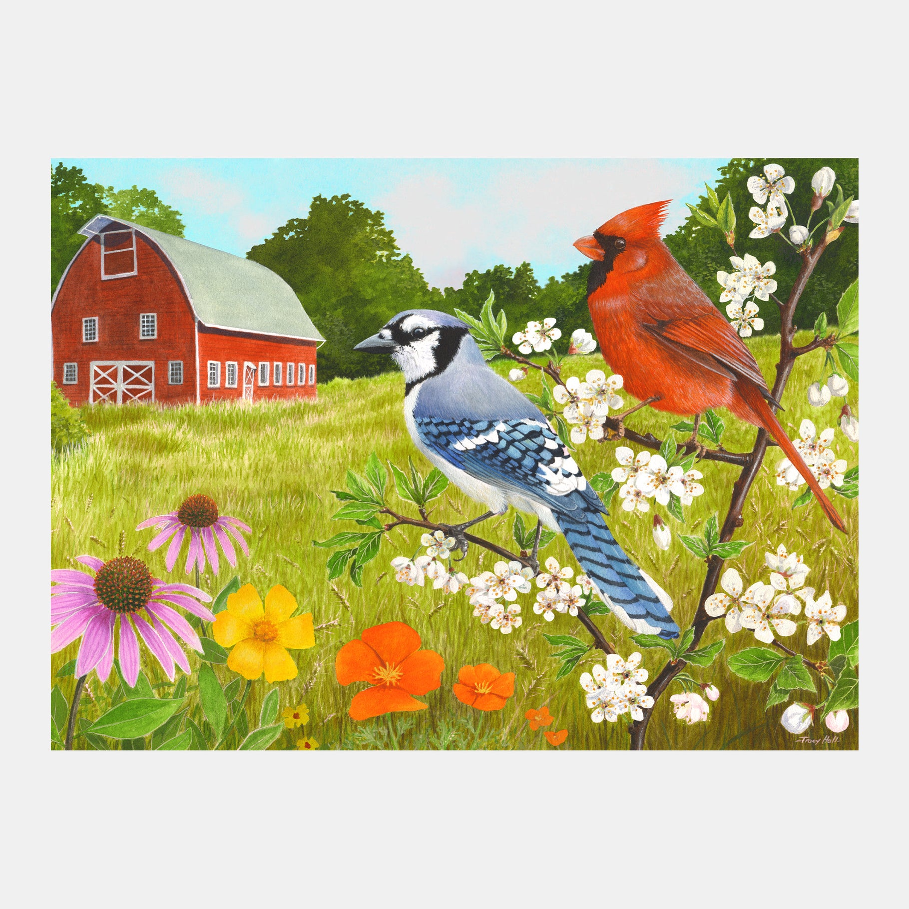 A vibrant farm scene with birds, ideal for dementia activities like aqua painting, puzzles, and arts and crafts for elderly.