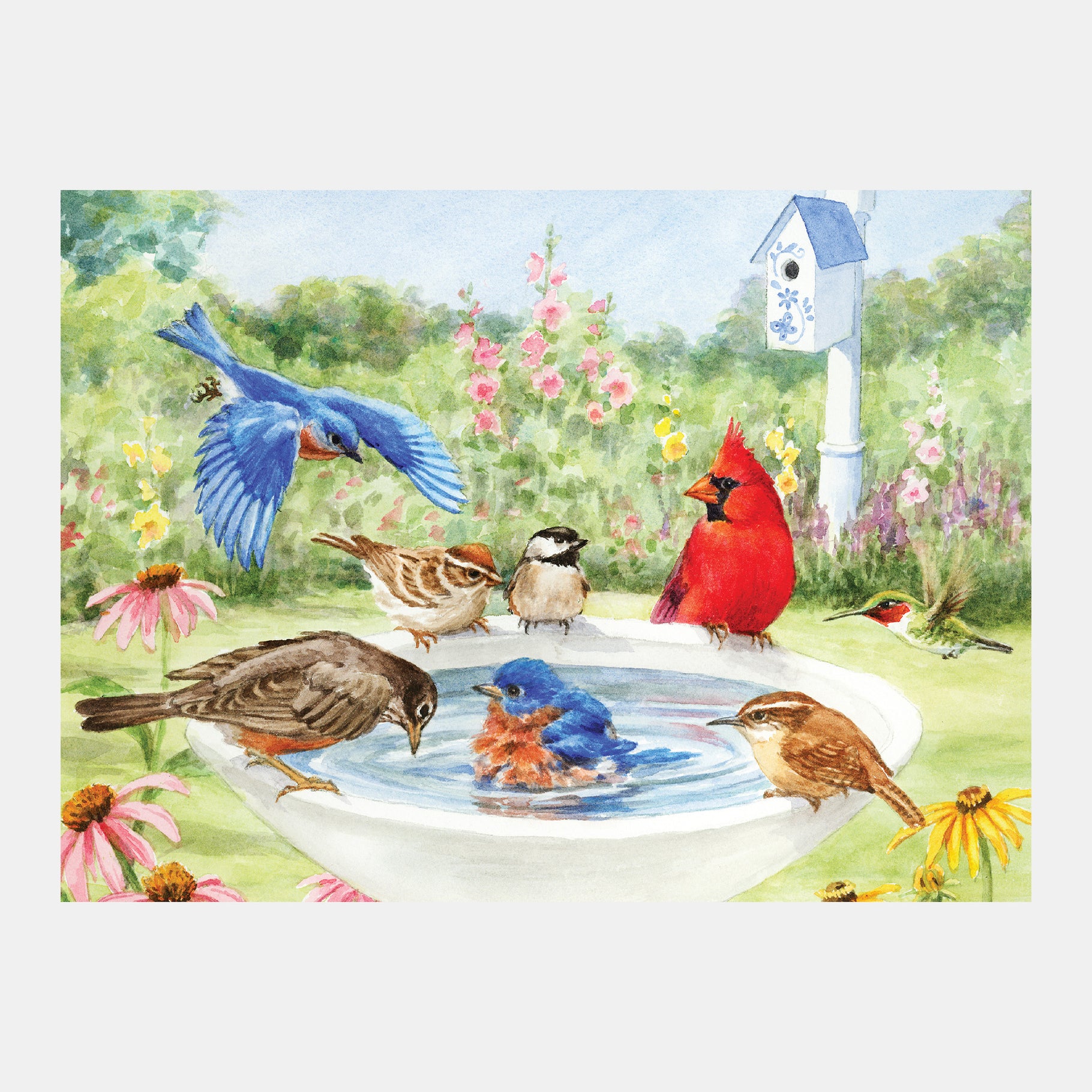 Birds gather at a birdbath in a garden, ideal for dementia activities like aqua painting, crafts, and sensory engagement.