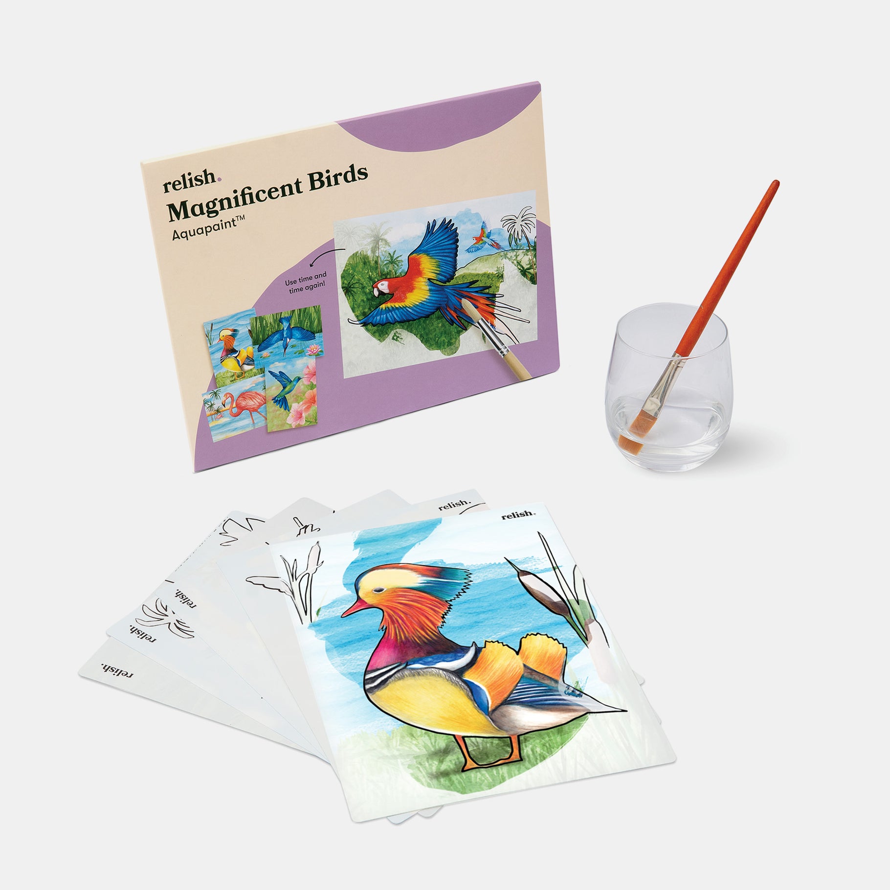 Aqua painting kit for people living with dementia features vibrant bird designs, ideal for care home activities and Alzheimer's gifts.