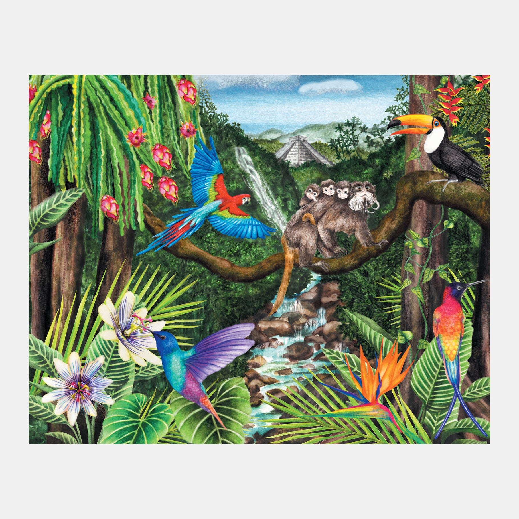 Jungle scene with vibrant birds and monkeys, ideal for dementia activities, crafts for elderly, and sensory engagement.