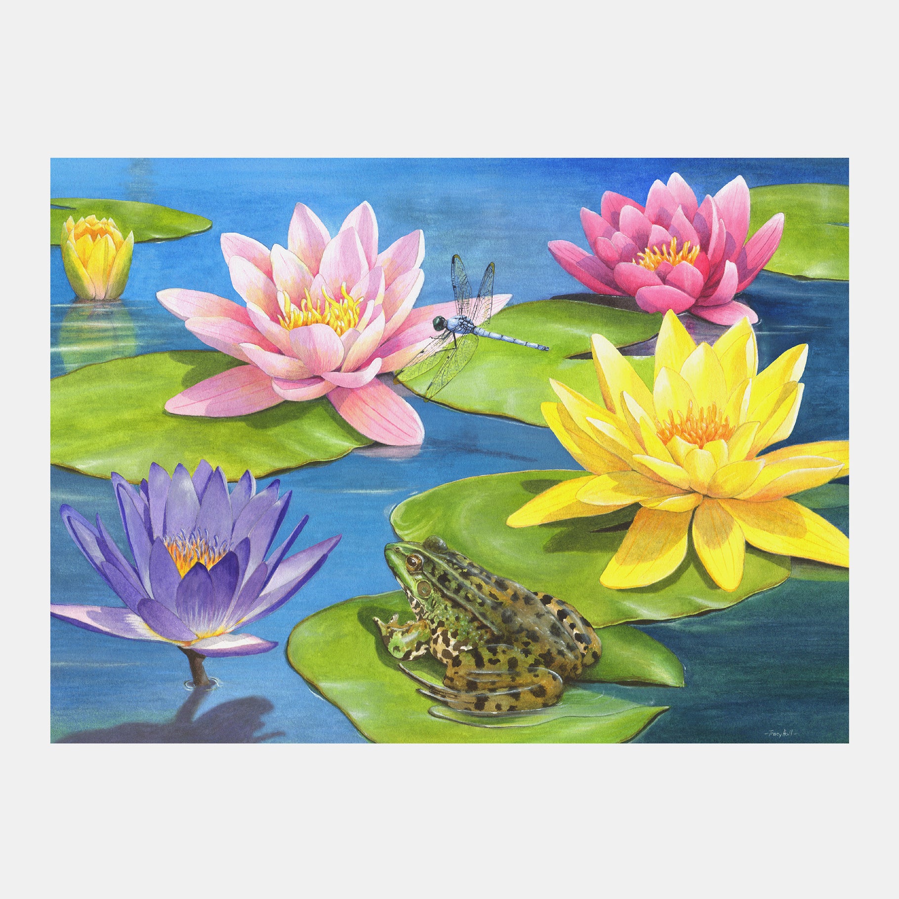 Colorful lilies and a frog on lily pads, ideal for dementia activities like aqua painting, crafts, and sensory engagement.