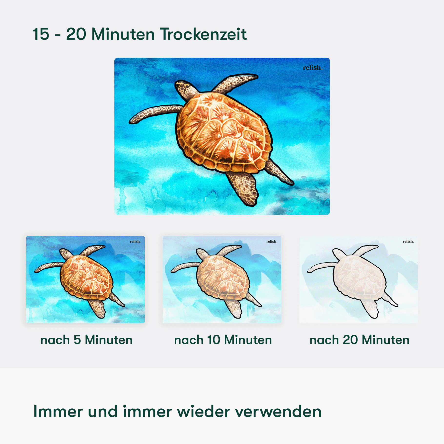 Aqua painting turtle for dementia, ideal for care home activities, crafts for elderly, and gifts for people with dementia.