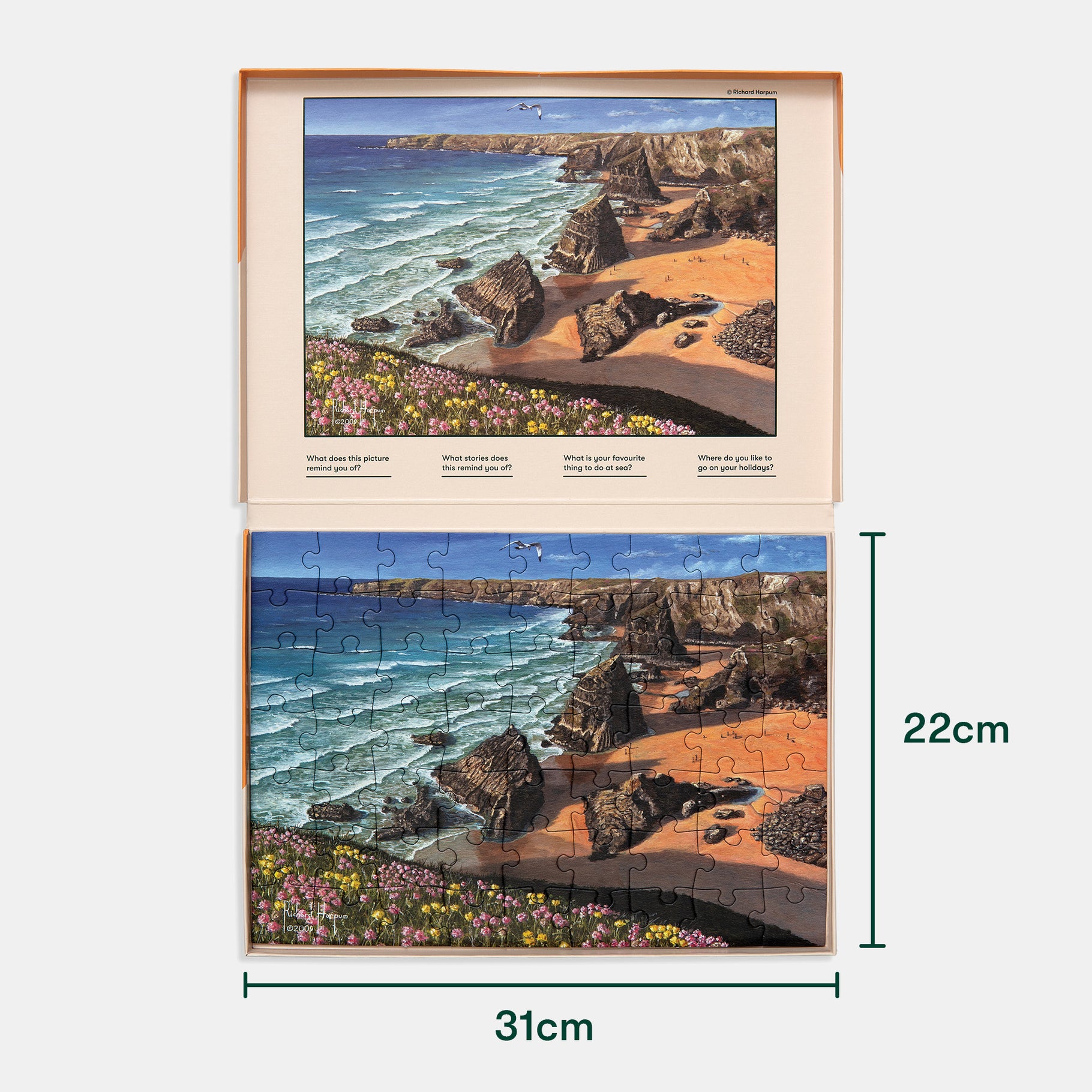 Puzzle for dementia patients featuring a coastal scene, ideal for care home activities and gifts for people with dementia.