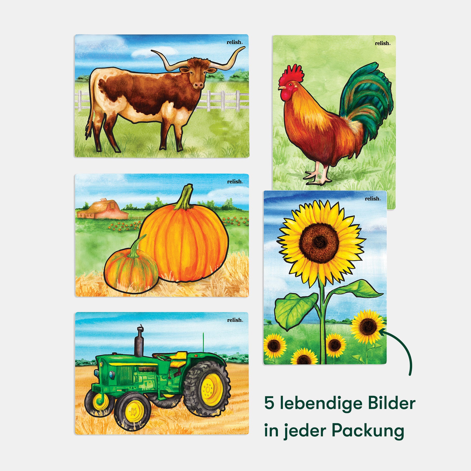 Colorful farm-themed aqua painting cards for dementia activities, ideal for care homes and gifts for elderly with dementia.