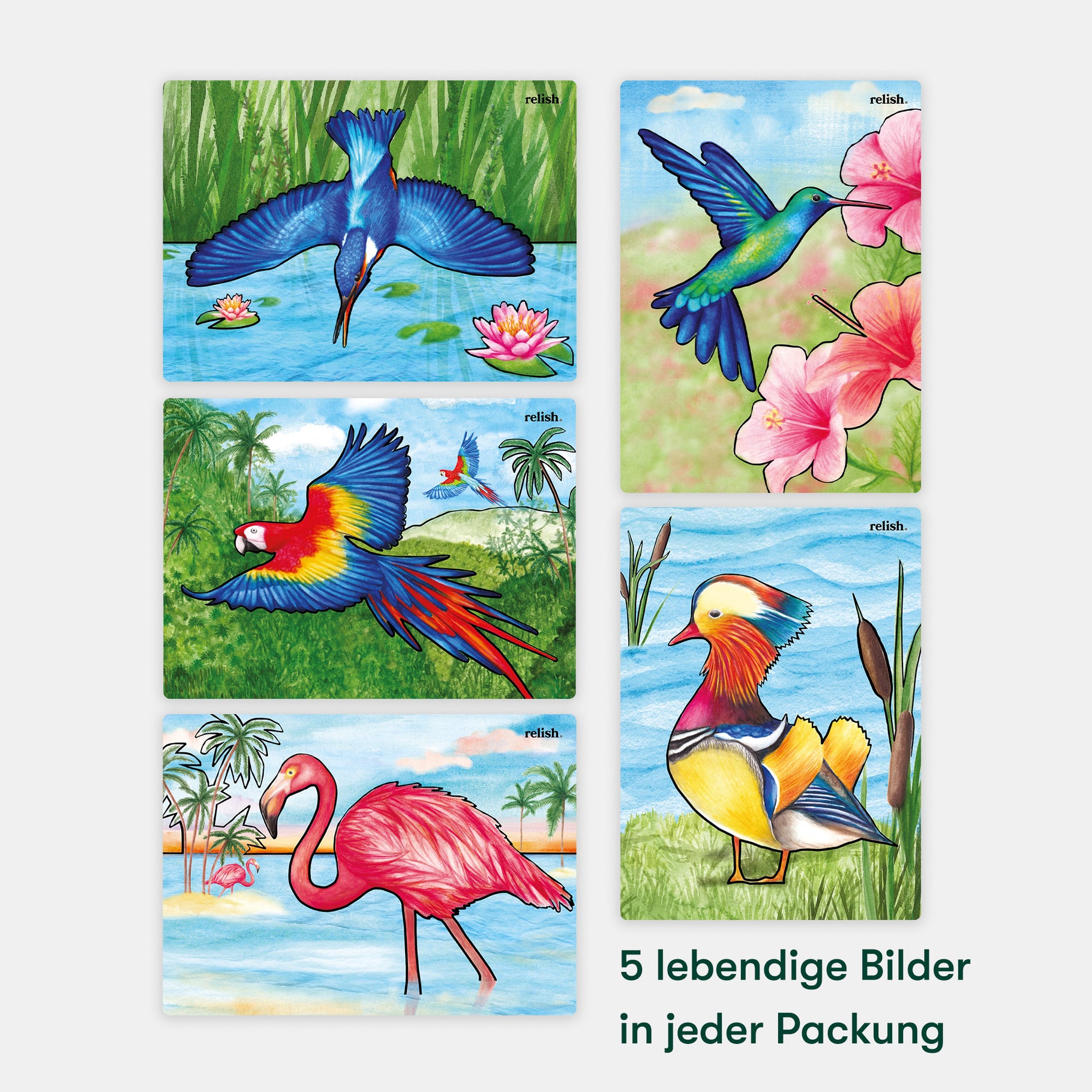 Colorful bird paintings for dementia activities, ideal for care homes, fostering engagement and joy for elderly residents.