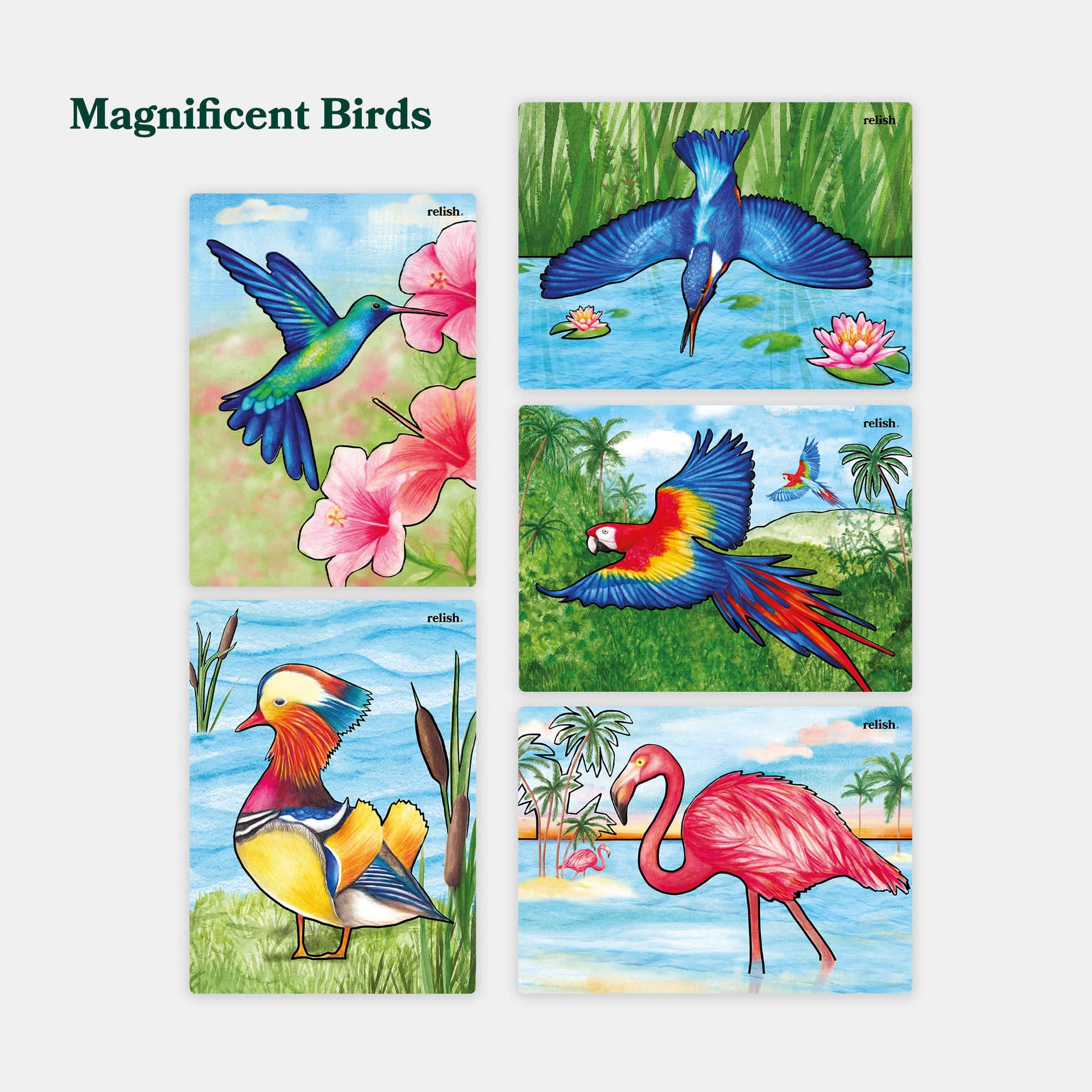 Colorful bird paintings for dementia activities, ideal for care homes. Enhance engagement with arts and crafts for elderly.