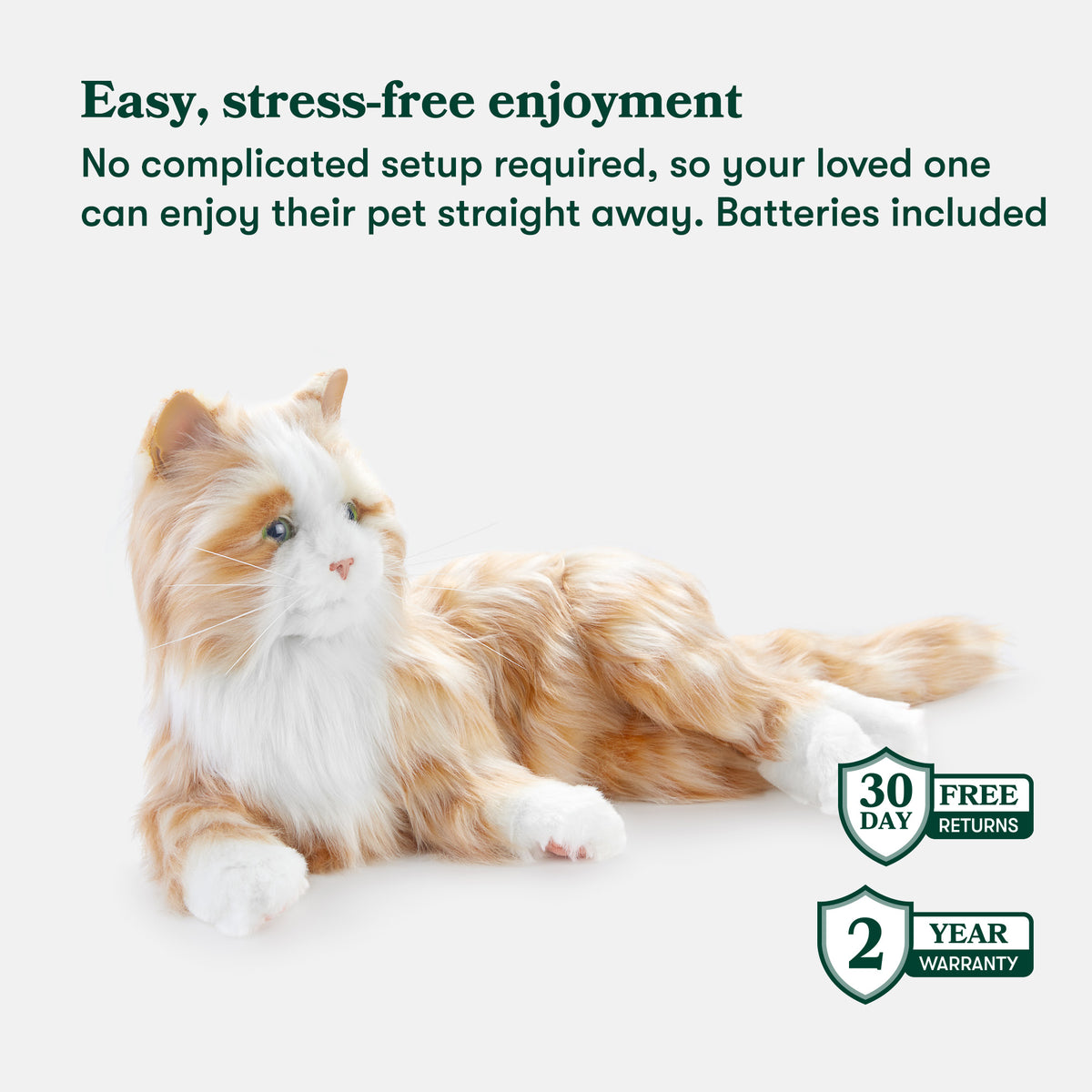 Orange Tabby Companion Pet
