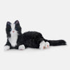 Black & White Companion Pet