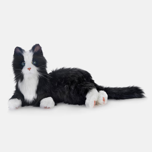Black & White Companion Pet