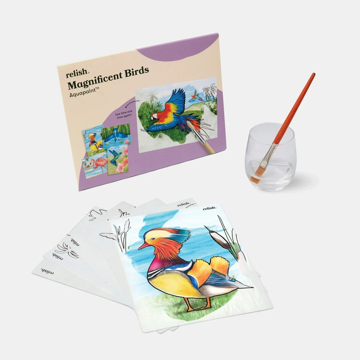 A colourful Aquapaint bird kit for dementia, featuring paintable bird templates and a brush.