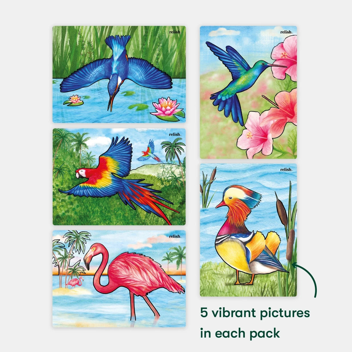Colourful bird illustrations designed to engage those with Alzheimer's and dementia, featuring five vibrant pictures.