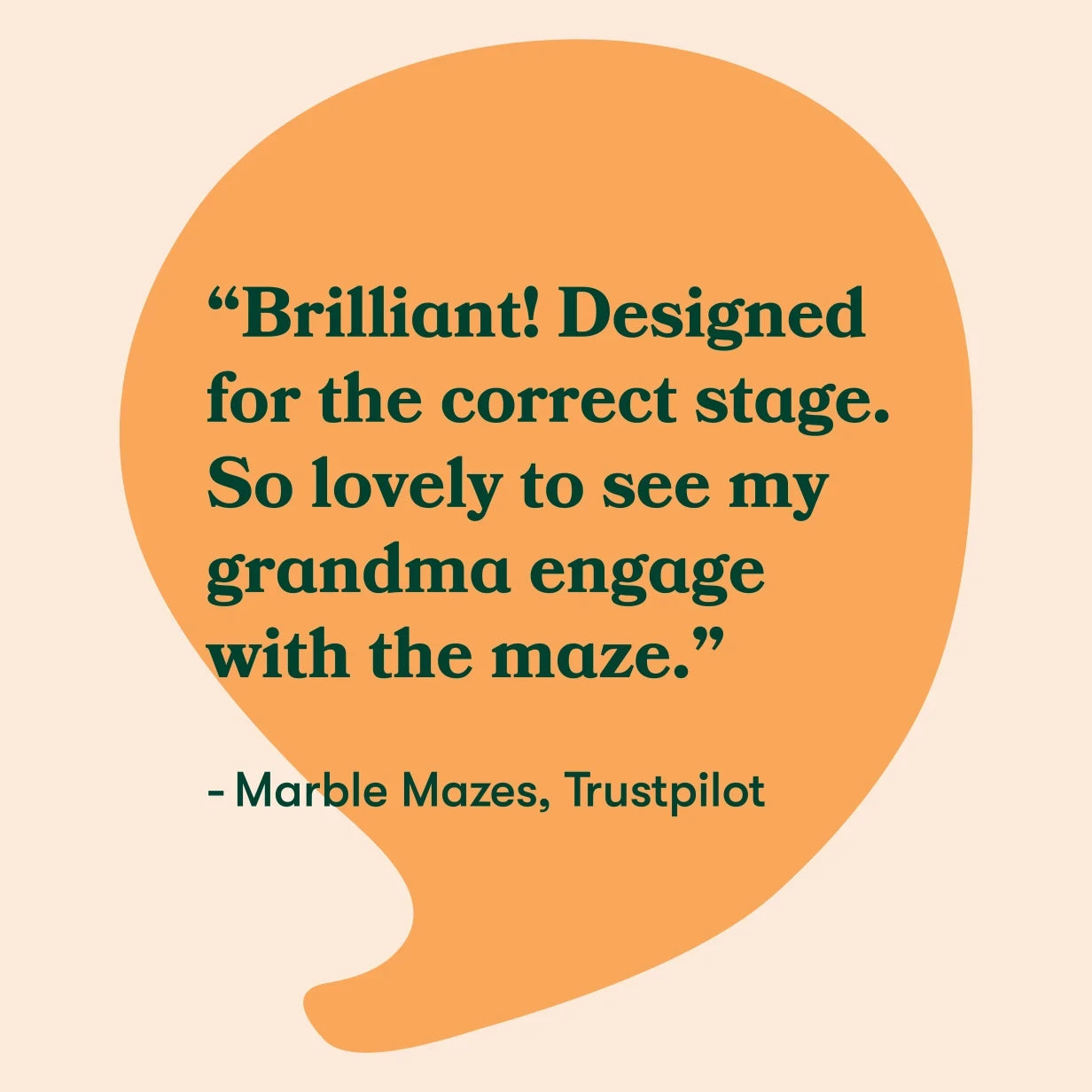 "Review praises dementia-friendly maze, highlighting its suitability and engagement for elderly care home activities."
